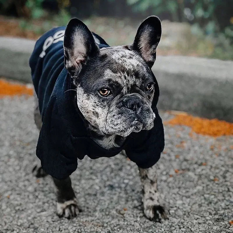 Camiseta para Cães - Moletom de Outono e Inverno para Cães  