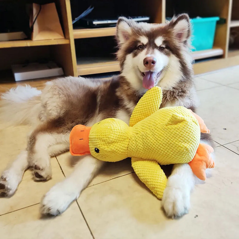 DuckPaw – Brinquedo Interativo de Pelúcia para Cães