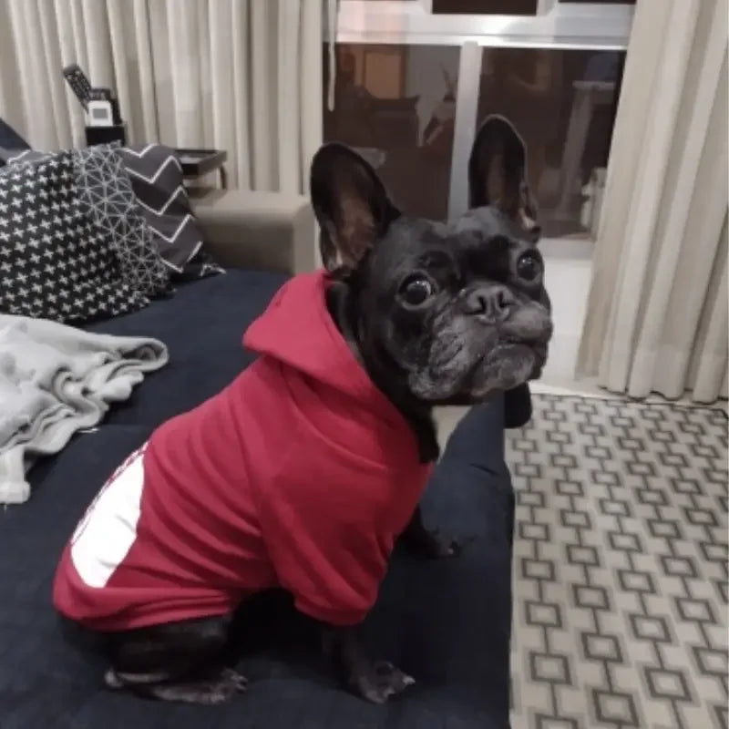 Camiseta para Cães - Moletom de Outono e Inverno para Cães  